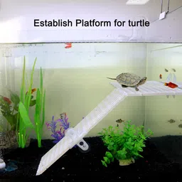 petzlifeworld 4 PCS White Fish Tank Divider Plastic Aquarium Divider Panel Separator Grid Isolation Board, Black Fish Tank Divider Filter Egg Crate Fish Tank Bottom Tray Aquarium Tool image 4