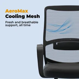 da urban Dysen Black Mesh Mid Back | Ergonomic | Heavy Duty Frame | Study Chair | Mesh Office Visitor Chair image 4