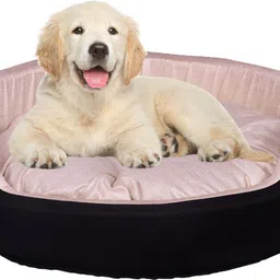 slatters be royal store PremiumQuality Velvet Luxury Washable DOG Sofa For All Season Sleeping CatPuppy M Pet Bed image 3