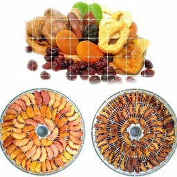 luxafare Plastic Adjustable Thermostat Electric Dehydrator for Food Fruit Food Steamer image 4