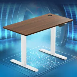 the sleep company Adjustable Desk 1200x600x700 | Sit-Stand Ergonomic Table | Engineered Wood Office Table image 1