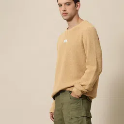 mr bowerbird Men Self Design Round Neck Brown Sweater image 3