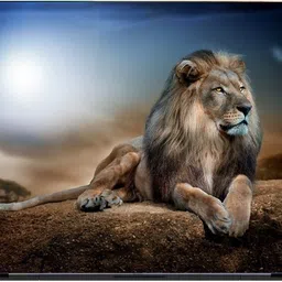 Flipkart SmartBuy lion watching art print 3m or avery imported vinyl with lamination Laptop Decal 15.6-picture-11
