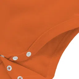 Zeezeezoo Infants India Printed Pure Cotton Bodysuit image 3