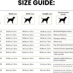 richpet Sweater for Dog image 5