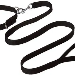 Dog Collar & Leash-image-91