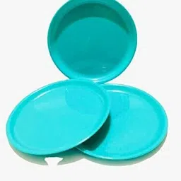 everbuy Unbreakable Lightweighted Plastic Round Full Size (11 Inch) Dinner/Lunch Plates Dinner Plate image 4