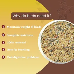 foodie puppies Bird Food for Cockatiel | Healthy & Natural Ingredients Enriched with Vitamins, 3 kg (3x1 kg) Dry Adult, Senior, Young Bird Food image 4