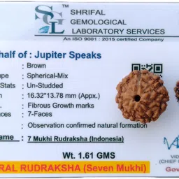 jupiter speaks 7 Mukhi Rudraksha Indonesian 16MM With Lab Certificate Natural Brown Unisex Wood Pendant-picture-11