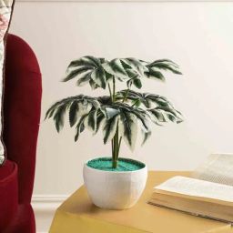 Multicolour Polyester and Plastic Artificial Plants By Foliyaj-picture-23