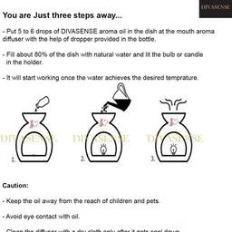 divasense Home Fragrance Oil Burner, Mogra, Rose Aroma Oil, Diffuser, Diffuser Set, Refill image 4