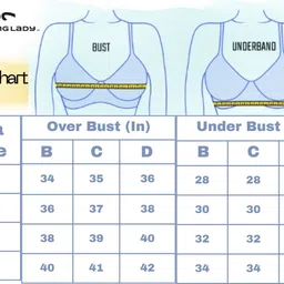 leading lady Pack of 2 Women T-Shirt Non Padded Bra image 5