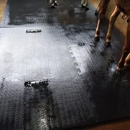 krylon Feeding Mat Waterproof Black Cowmat Easy Clean With Raised Edges Cow, Hamster, Dog, Guinea Pig, Miniature Pig Pet Mat-picture-27