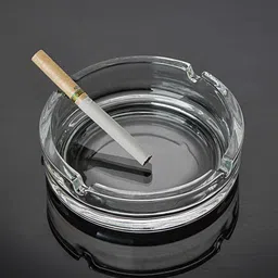 ginoyabrothers Clear Glass Ashtray-picture-17