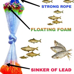 mondal store 20MM SISHA JAL COMBO PACK Fishing Net image 2