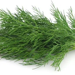 GREEN SOYA SAG Seed-image-5