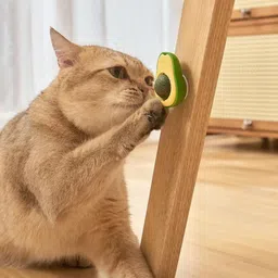 pet guard Avocado Cat Catnip Toys, Grinding Teeth Cleaning Cat Toys Plastic Chew Toy For Cat image 4