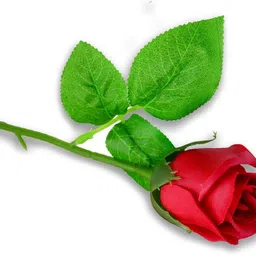 me&you Gift Set H 530 Assorted Gift Box image 4