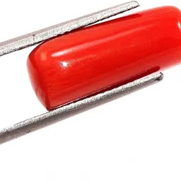 Sahiba Gems Red Cut Natural Coral Gemstone image 2