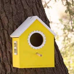 birdshala Bird House Safe and Attractive, Yellow with White Trim,Ventilated with Perch Bird House image 5