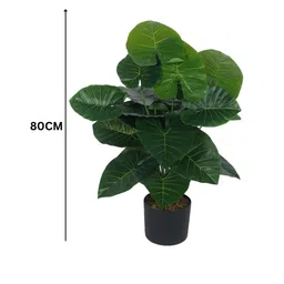 Arick Decor 31 Inch Artificial Real Touch Rubber With Black Pot image 2