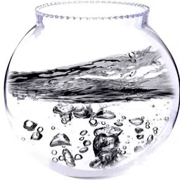 atloyal COLLAR 8 Round Ends Aquarium Tank-picture-11