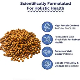 global green Aquarium Fish Pellets (Big 3mm Floating) | 100gm - Highly Nutritious Fish Food 0.1 kg Dry All Life Stages Fish Food image 2