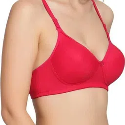 sashu Pack of 2 Women T-Shirt Heavily Padded Bra image 2