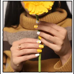 navee Artificial Nails Plain&Colorful Designs Nail With Nail Glue Combo Set (Pack of3) image 5