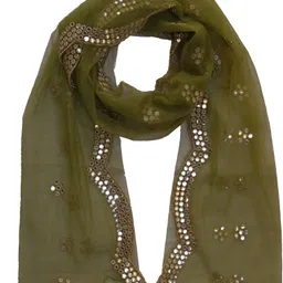 youthquake Net Embellished Light Green Women Dupatta image 1