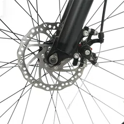 roadgiant SQUAD BG-29-BG-Z BLACK-SINGLE SPEED- STEEL 29 T (inch) Mountain Cycle image 4