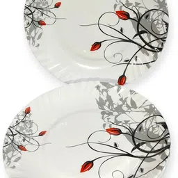 bnenterprise Durable Serving Half PLate Half Plate image 2