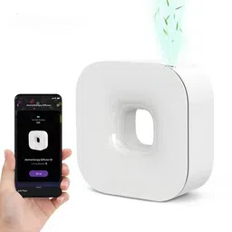 ds inter Aroma Diffuser-picture-23