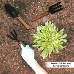 sehar industries Garden Tools Fork with Cultivator,Trowel with Wooden Handle| Durable Hand Tools Garden Tool Kit image 3