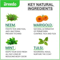 breedo Dogs & Cats (Combo of 2) Cool Mint Toothpaste + Flea-Tick Anti-Itch Powder Pet Toothpaste image 3