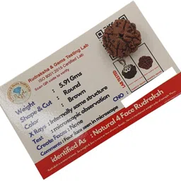 bharat collection 4 Mukhi Rudraksha four Faced Charr Nepali Rudraksh Bead Original & Certified Beads Wood Pendant-picture-21