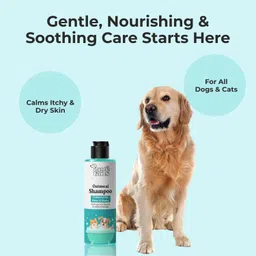 pure tails Oatmeal Shampoo Anti-itching, Itch Relief, Anti-dandruff, Conditioning Colloidal Oat &, Honey Dog, Cat Shampoo image 3