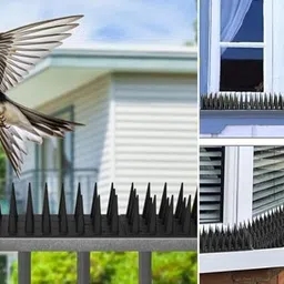 gymisa Bird Spike image 4