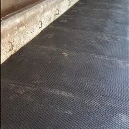 noroix BPA Free Easy Clean Waterproof Animal Feeding Mat for Cow, Buffalo & Bull Cow, Dog, Guinea Pig, Hamster, Miniature Pig Pet Mat-picture-15