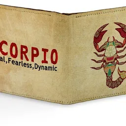 shopmantra Men Casual, Formal Multicolor Artificial Leather Wallet-picture-47