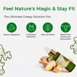 bhisajyam Ginger Essential Oil 100% Pure & Natural, Boosts Metabolism & Gas Relief image 2