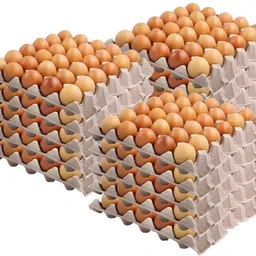 dsom Egg holder Egg Holder-picture-38