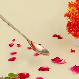 snaz Stainless Steel Table Spoon Set image 3