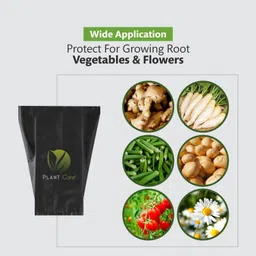 plant care Grow Bags 18 X 18 Inch - 40 Bags for Vegetables, Fruits, Flowers Grow Bag image 5