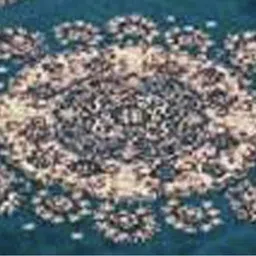 furnishhut Multicolor Cotton Carpet image 3