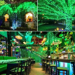 ap source 40 LEDs 12 m Green Steady Bulb Rice Lights image 4