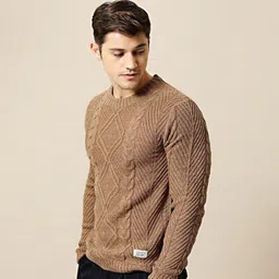 mr bowerbird Men Self Design Round Neck Beige Sweater image 3