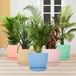 flipkart smartbuy 5 Pack Round Flower Pots Outdoor Indoor Planters with Drainage Hole and Tray Plastic Vase image 2