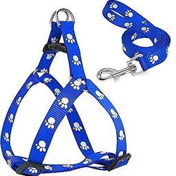 dogtrust Nylon Puppy Harness for Small & Medium Dogs Colour May Vary (0.75-inch) Dog Buckle Harness image 2