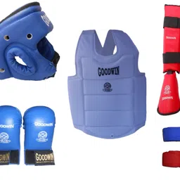 KARATE KIT RT0010 Boxing Kit-image-0
